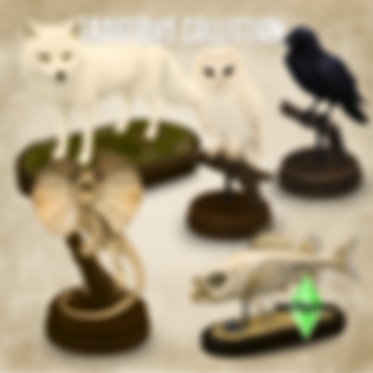 Preview image 1 for Taxidermy Colletion by SNOTRA902.